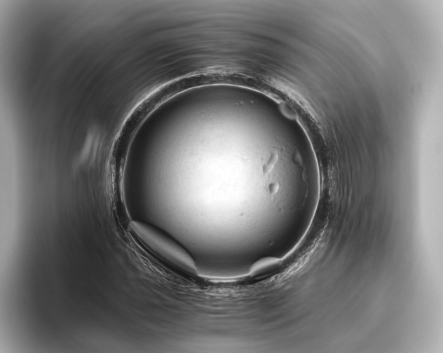 X0000096441021200801241354