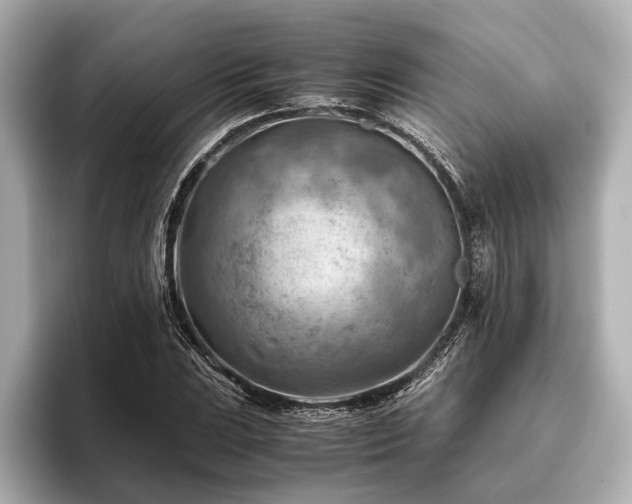 X0000096441023200801241354