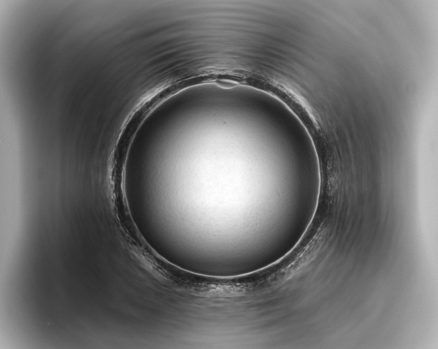 X0000096441026200801241354