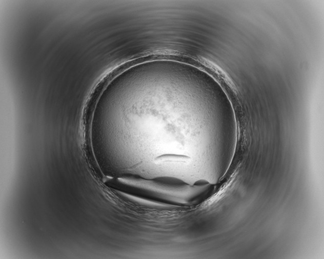 X0000096441027200801241354