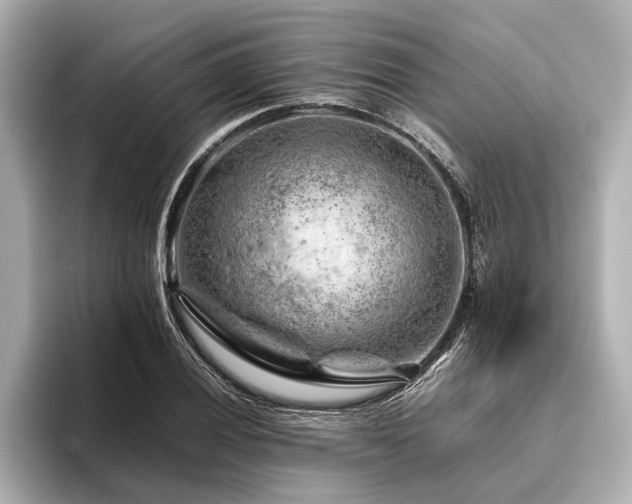X0000096441028200801241354
