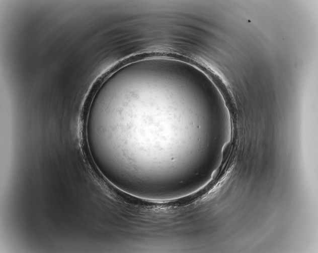 X0000096441029200801241354