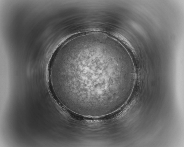 X0000096441031200801241354