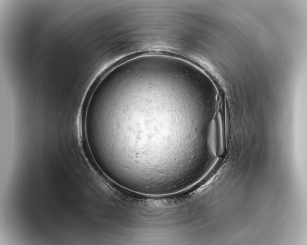 X0000096441032200801241354