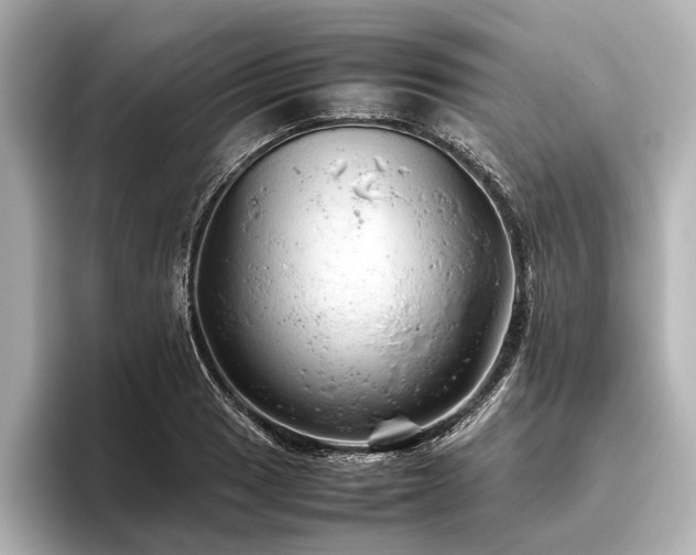 X0000096441033200801241354