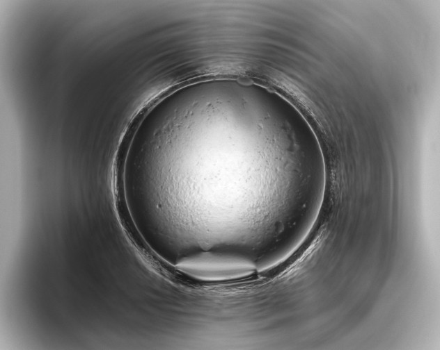 X0000096441034200801241354
