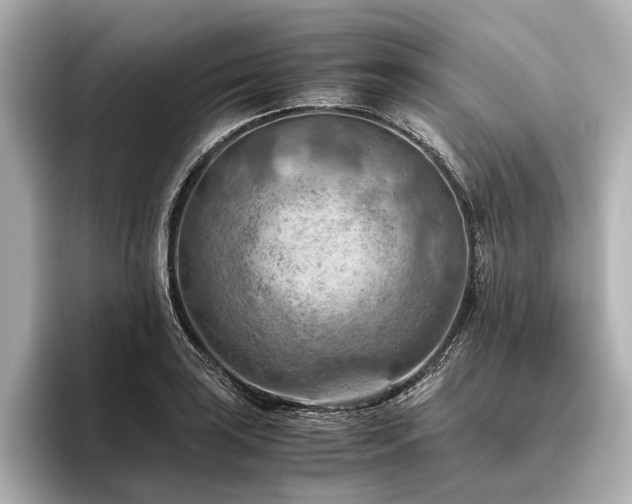 X0000096441035200801241354
