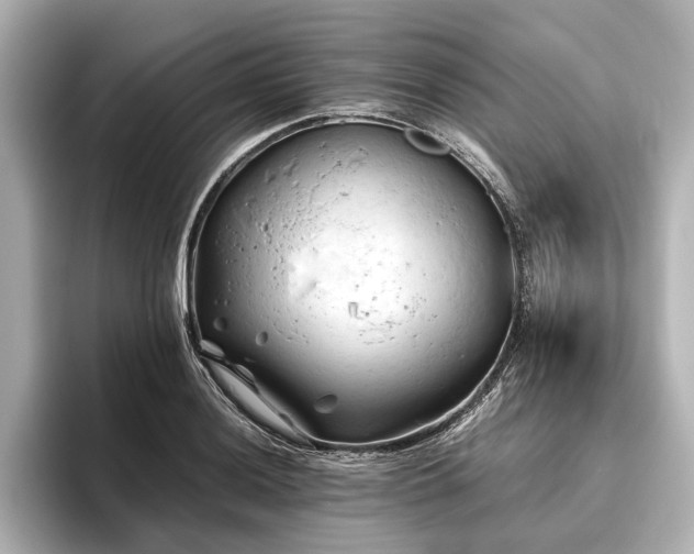 X0000096441036200801241354