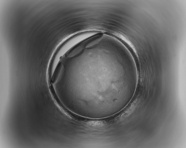X0000096441037200801241354