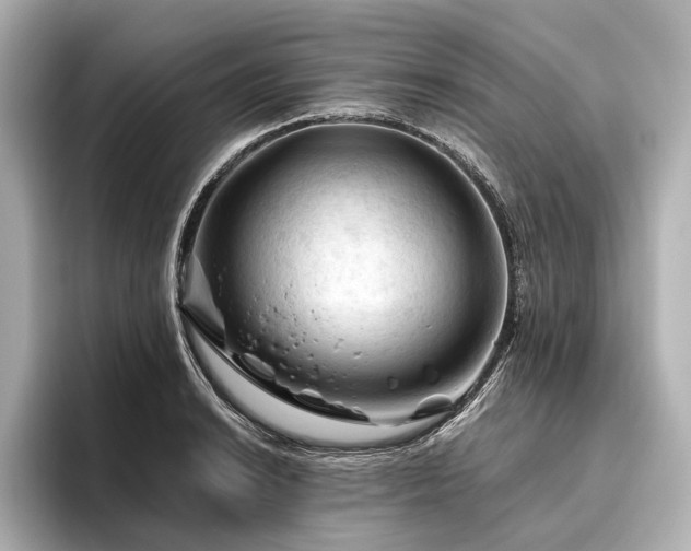 X0000096441038200801241354