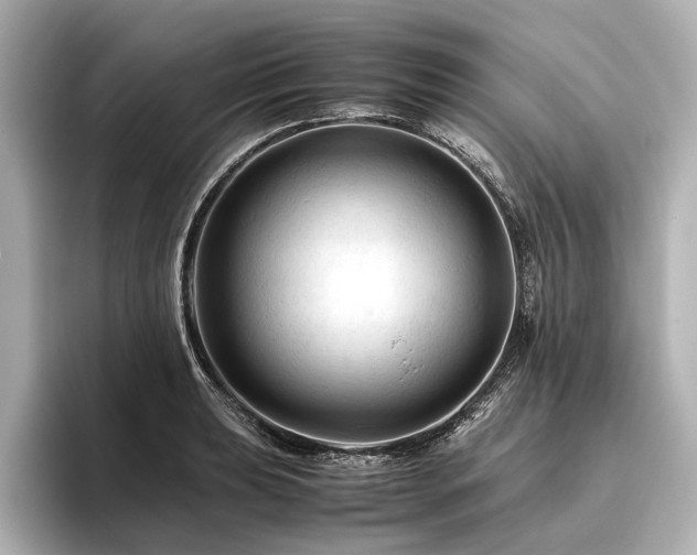 X0000096441039200801241354