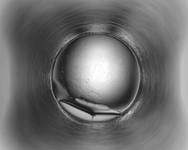 X0000096441041200801241354