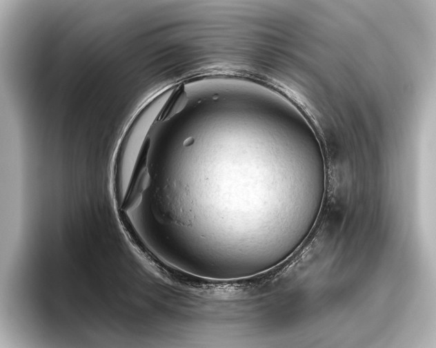 X0000096441042200801241354