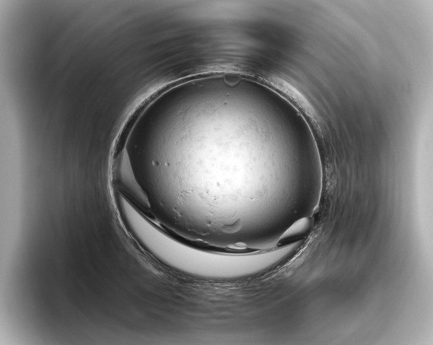 X0000096441043200801241354