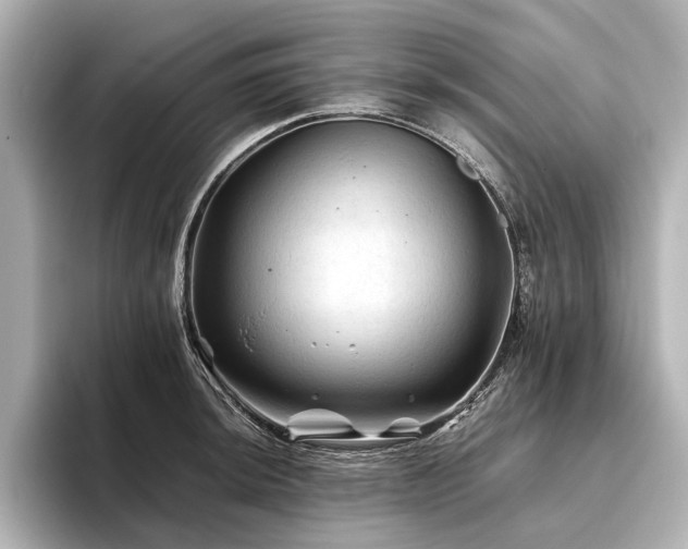 X0000096441044200801241354