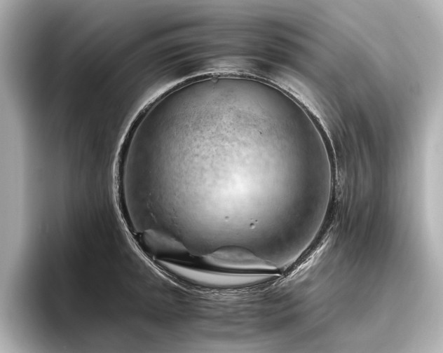 X0000096441045200801241354