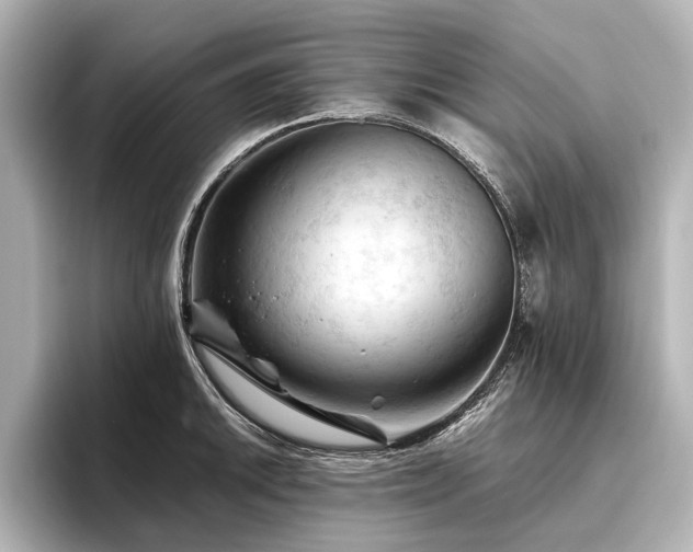 X0000096441046200801241354