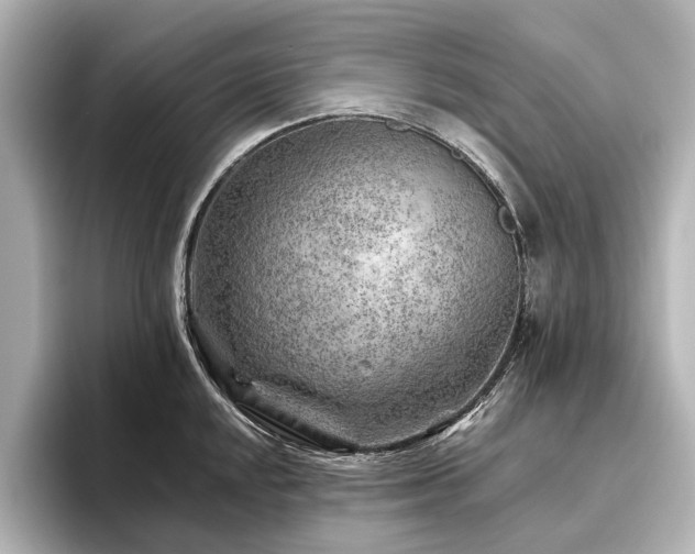 X0000096441048200801241355
