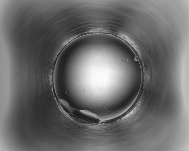 X0000096441049200801241355
