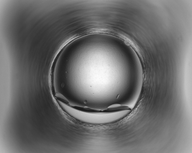 X0000096441050200801241355