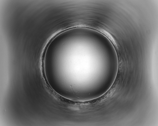 X0000096441051200801241355