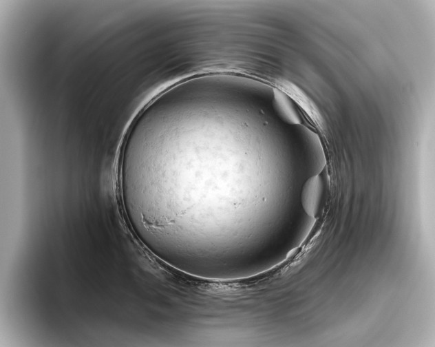 X0000096441052200801241355