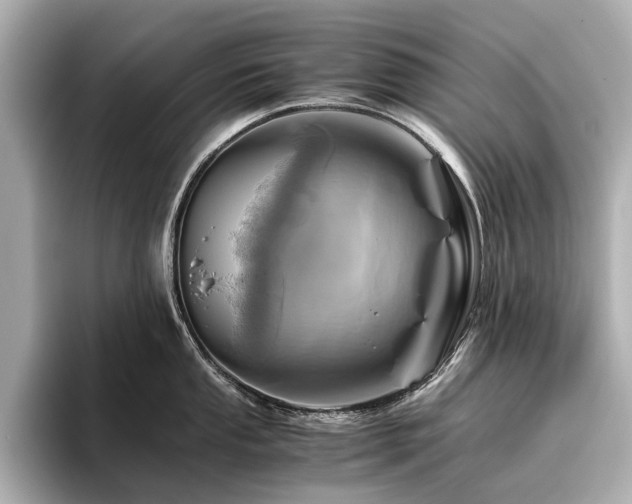 X0000096441053200801241355