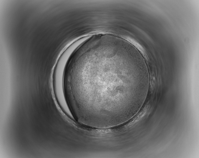 X0000096441055200801241355