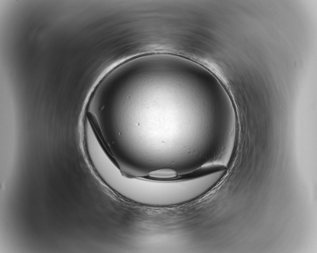 X0000096441056200801241355