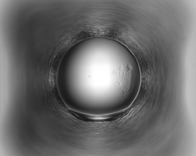 X0000096441058200801241354