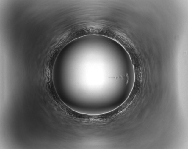 X0000096441061200801241354