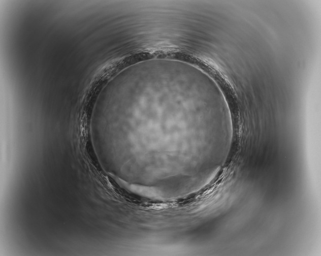X0000096441063200801241354