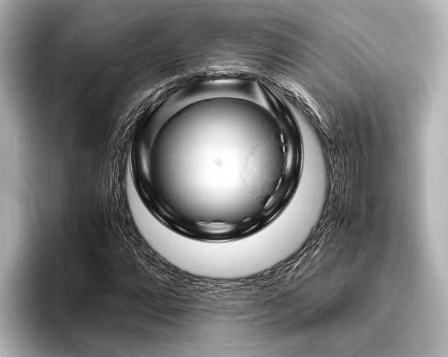 X0000096441064200801241354