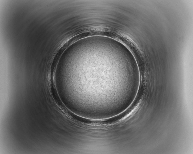 X0000096441065200801241354