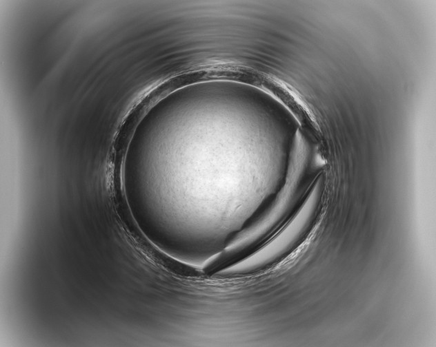X0000096441066200801241354