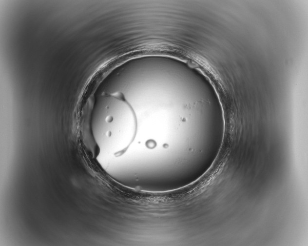 X0000096441067200801241354