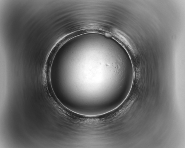 X0000096441068200801241354