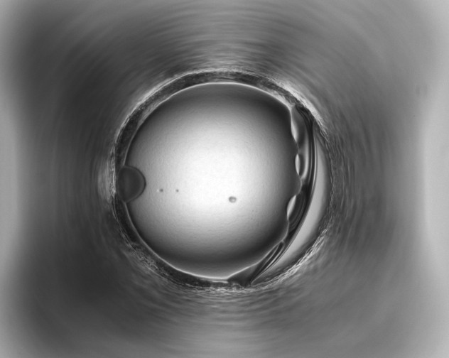 X0000096441069200801241354