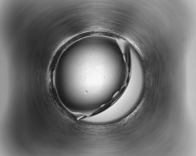 X0000096441070200801241354