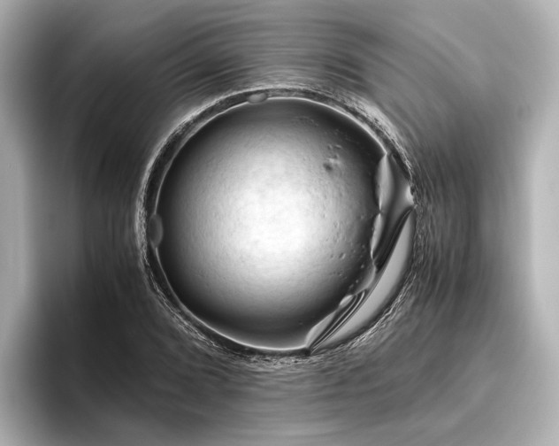 X0000096441072200801241354