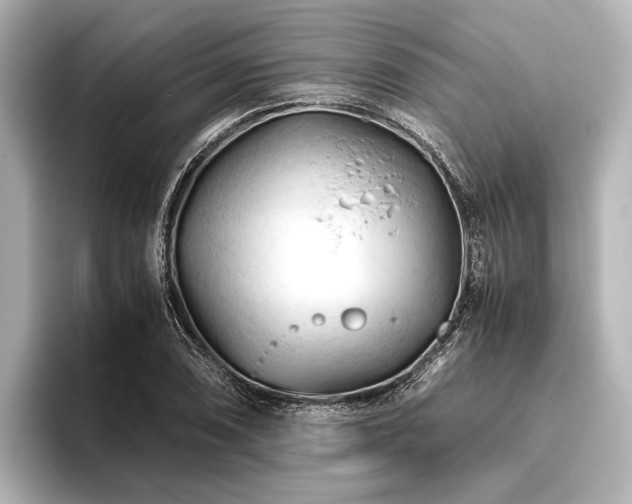 X0000096441074200801241354