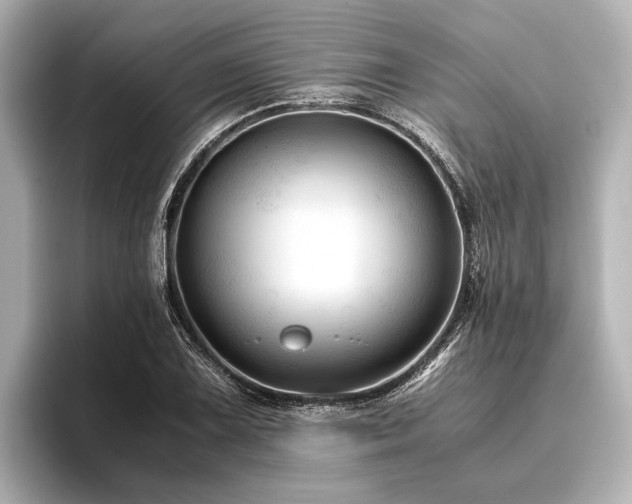 X0000096441075200801241354