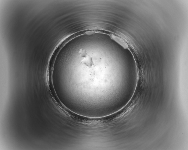 X0000096441076200801241354