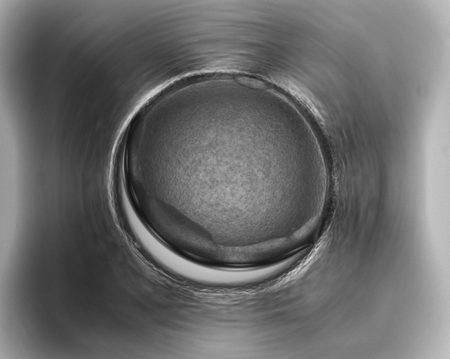 X0000096441077200801241354