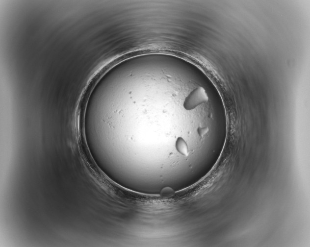 X0000096441078200801241354