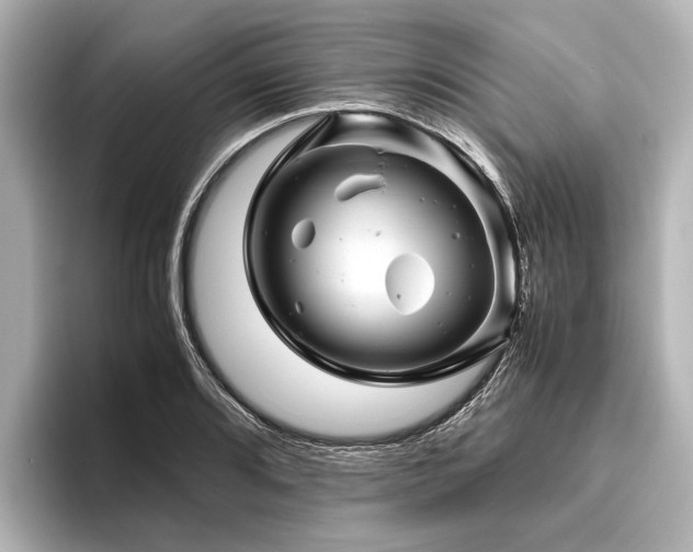 X0000096441080200801241354