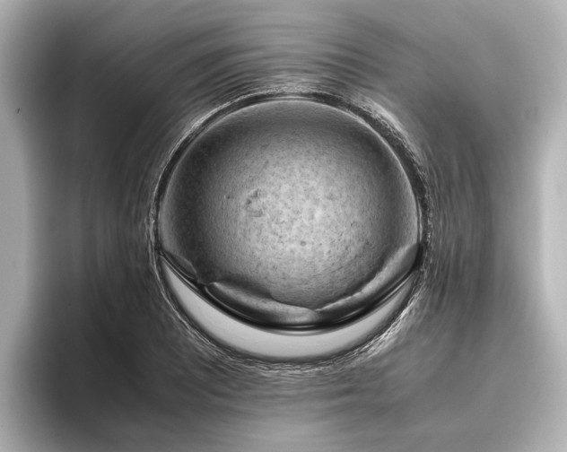 X0000096441081200801241354