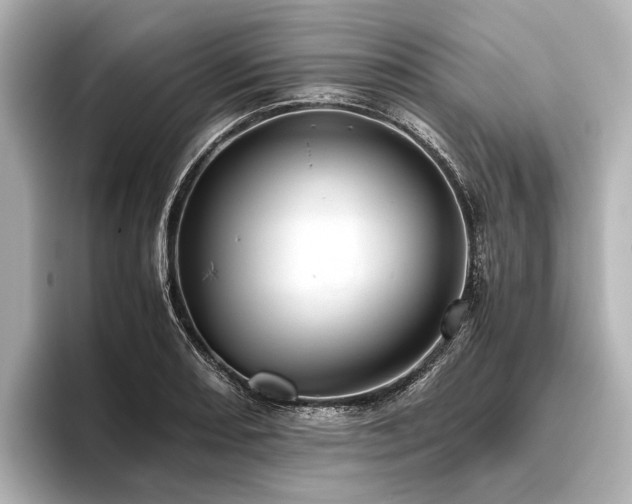 X0000096441082200801241354