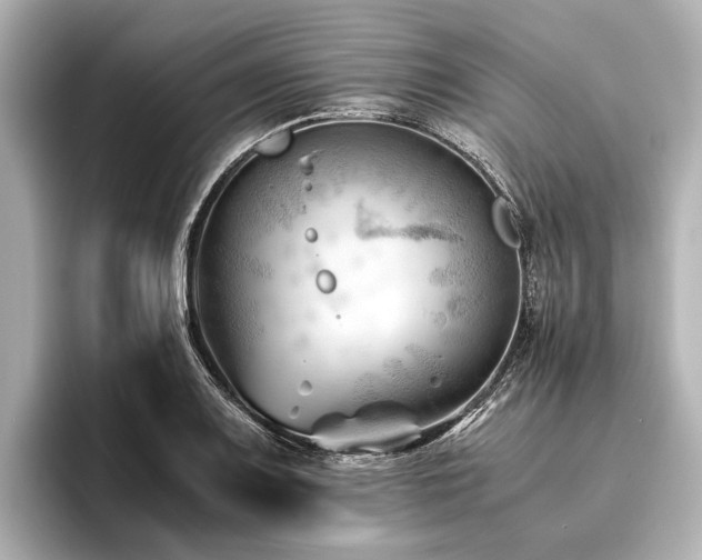 X0000096441083200801241354