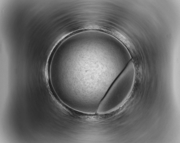 X0000096441084200801241354